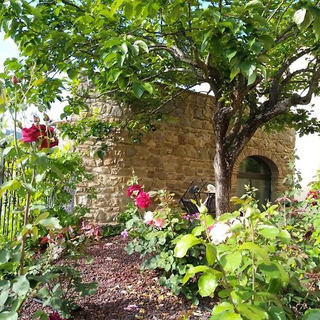 Da Vinci Sweet Home Castiglion Fibocchi Exterior photo